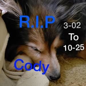 Meet your Posher, Faith